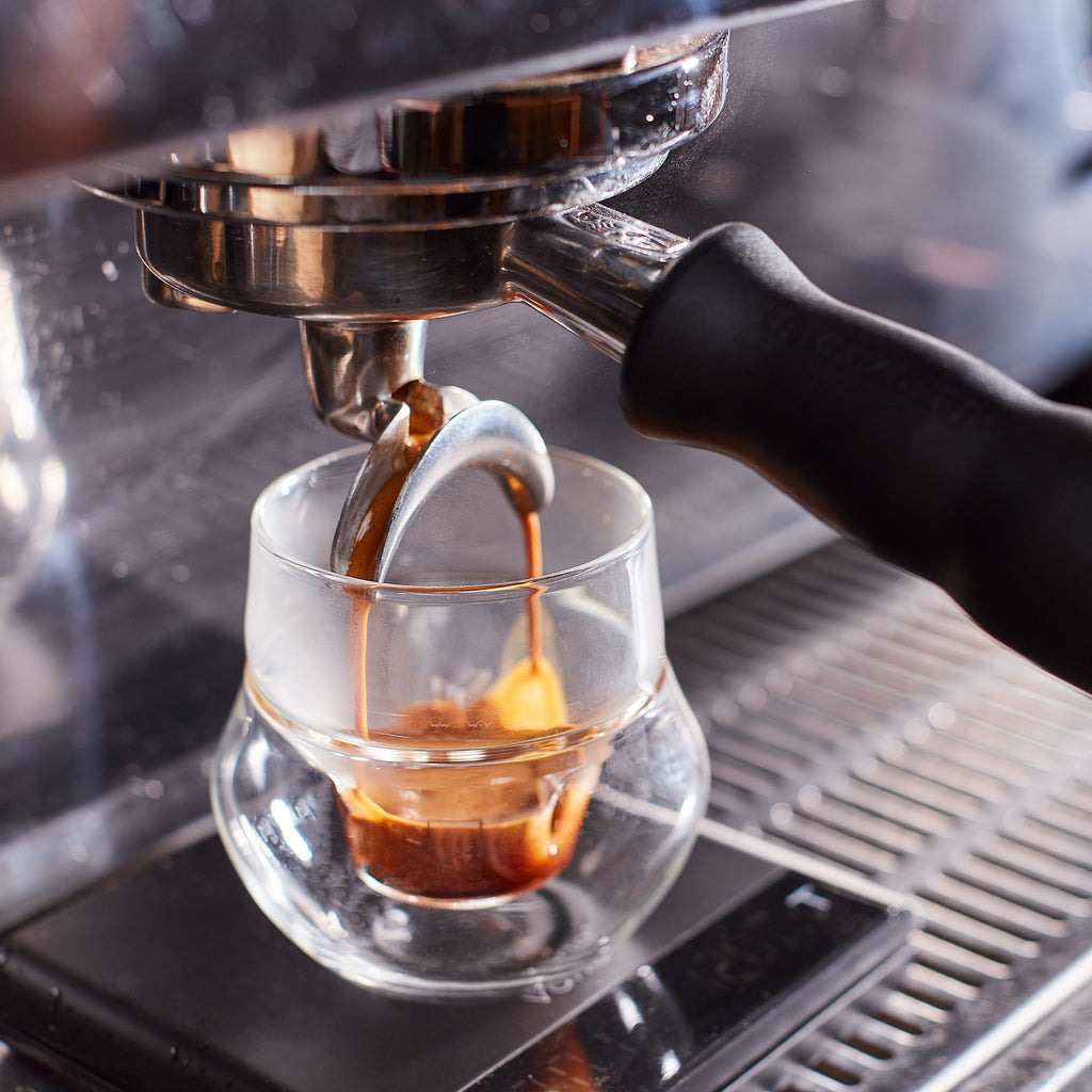 SCA Barista Skills Foundation at Dear Green HQ in Glasgow