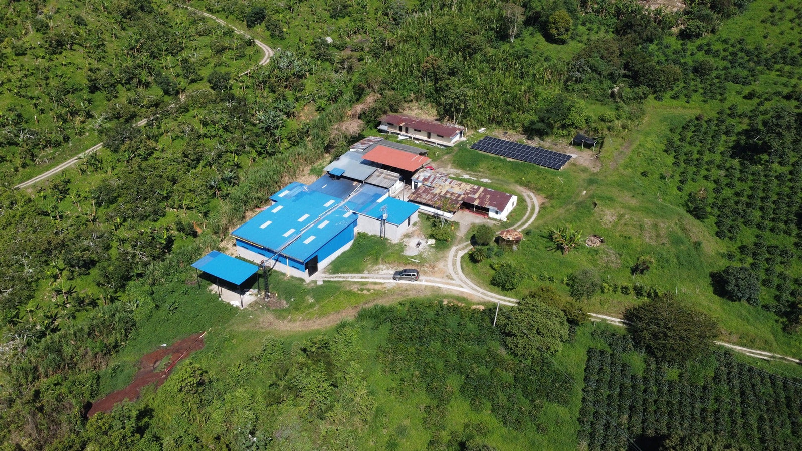 Colombia: Gesha Marcela