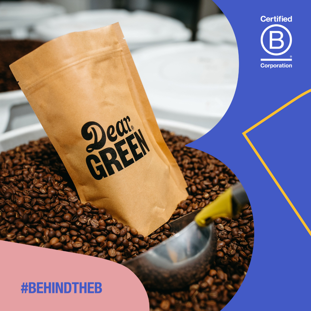 Our B Corp Impact