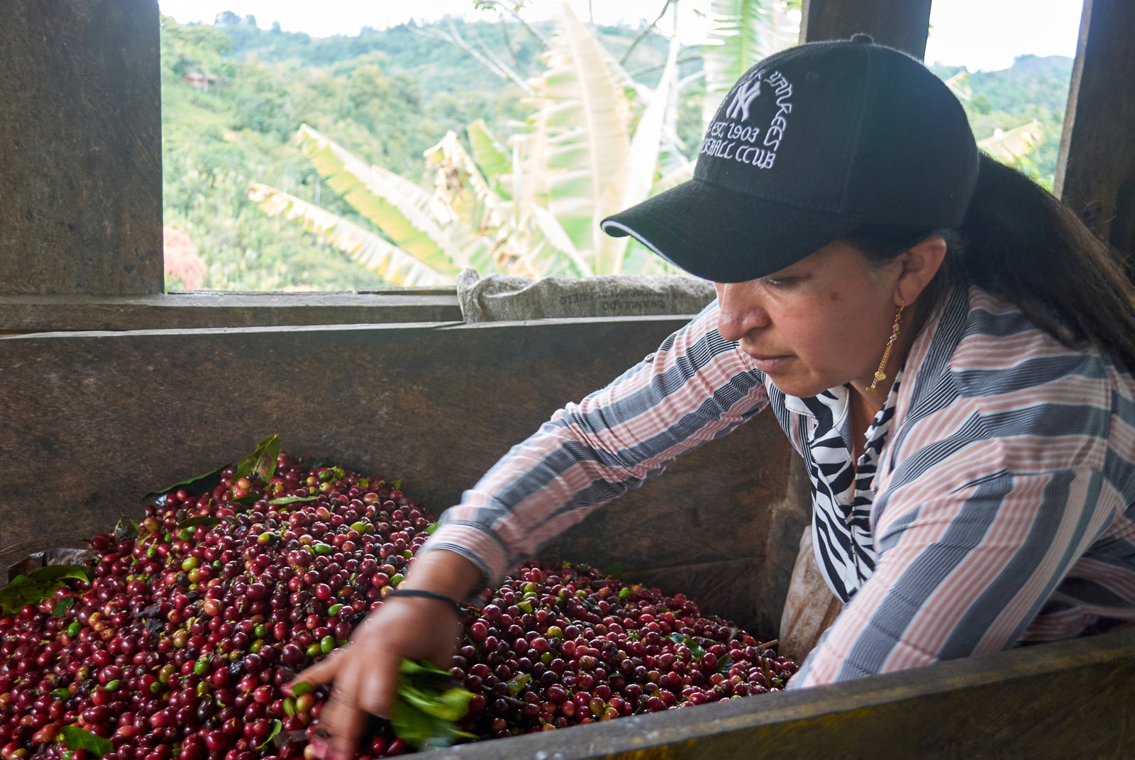 All The Ladies (2026)