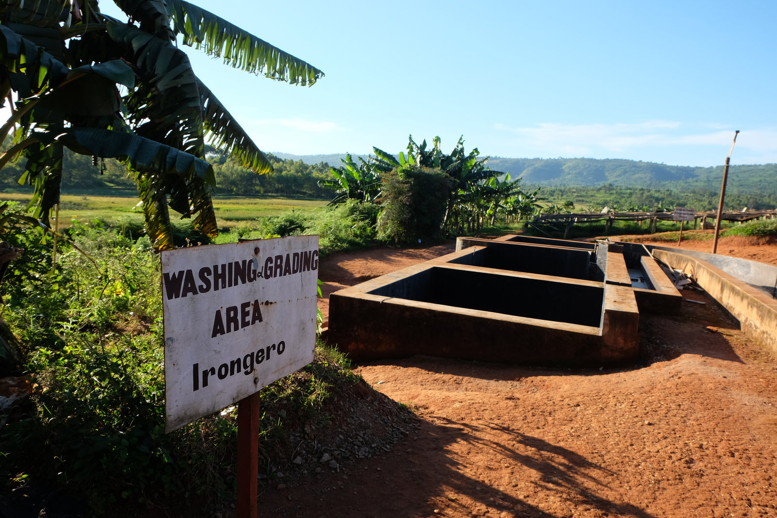 Where Does Your Coffee Really Come From?