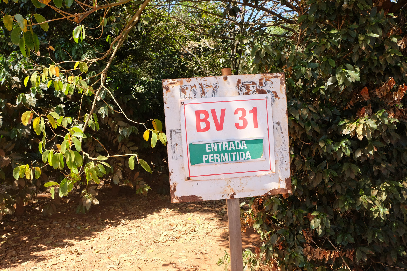 Reflecting on Visiting Origin: Bridging the Gap Between Producer and Roaster