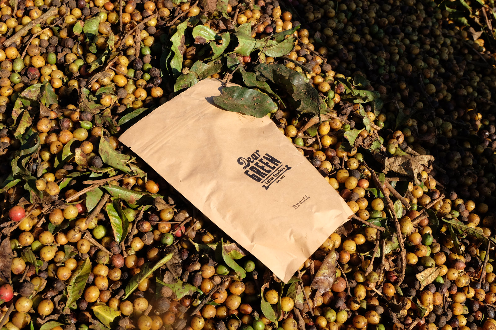 Brazil - Field notes from Origin