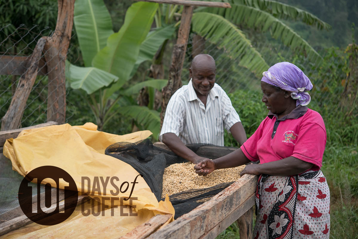 A Fruity New Kenya - Gititu