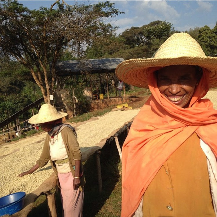 Ethiopia - Odaco - Natural