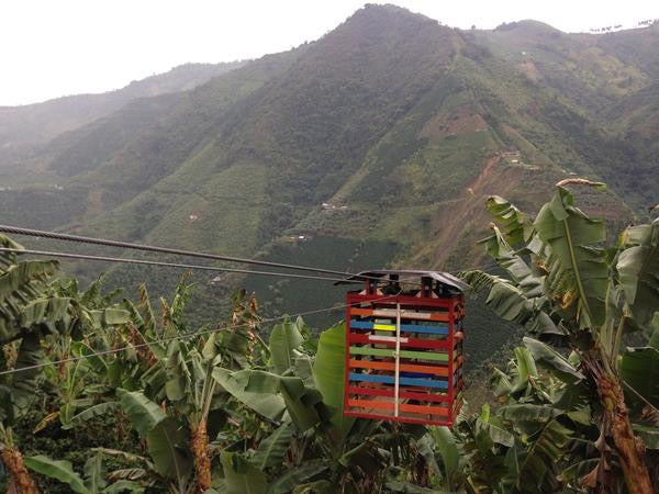 New Crop Arrival: Colombia El Desvelado