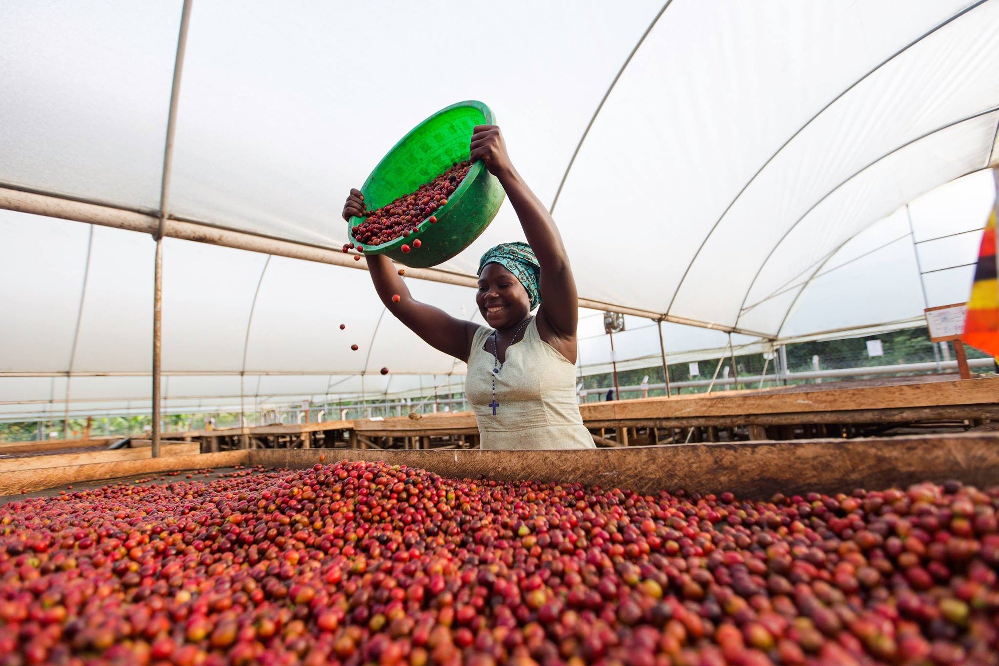 Bukonzo Dream - Our Dreamy New Ugandan Coffee