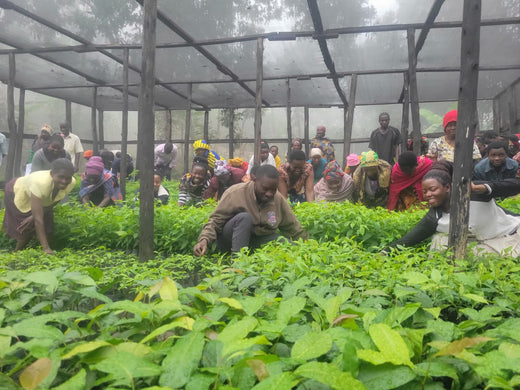 Proudly launching our Seedling Project in Uganda