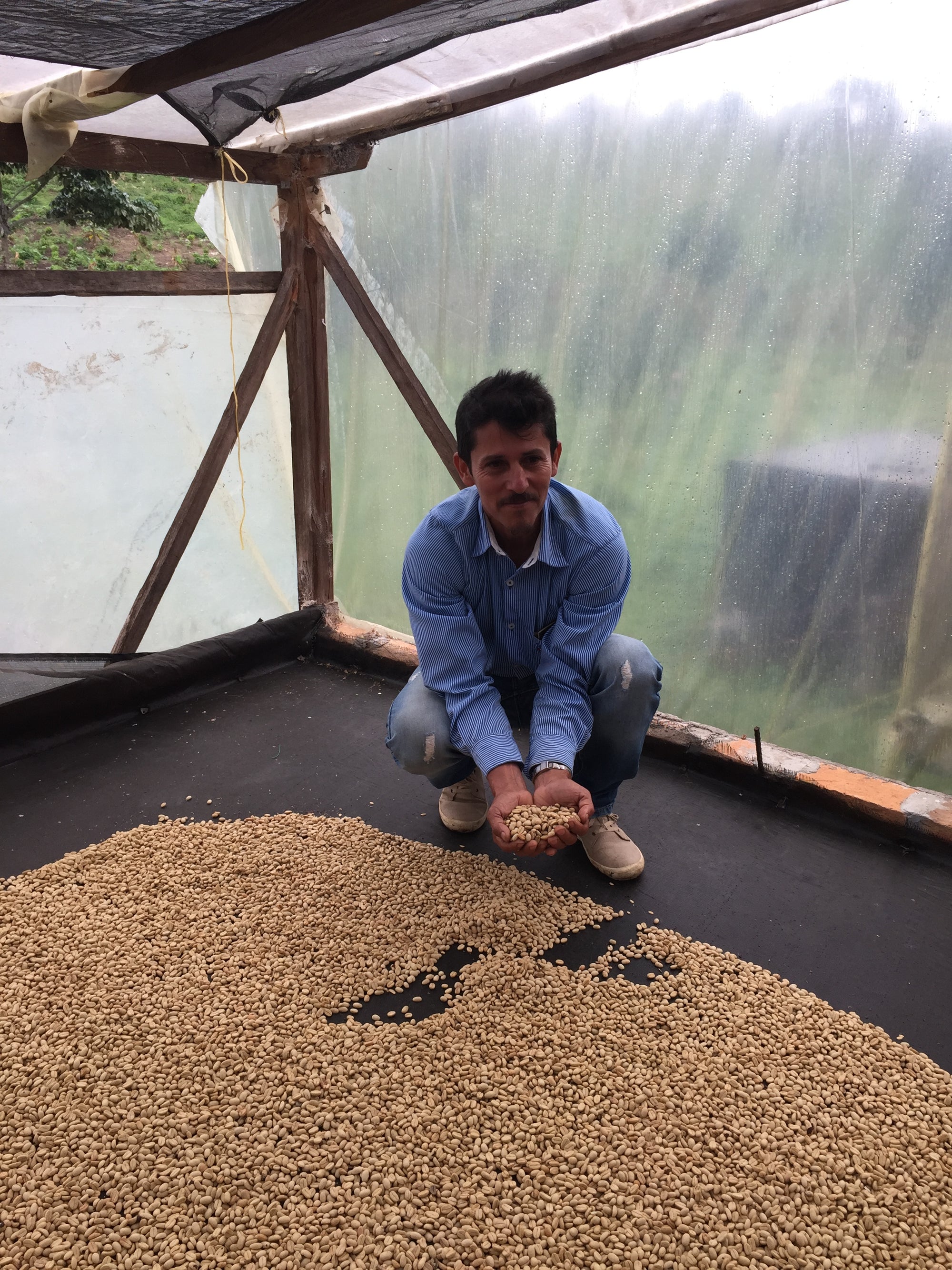 Introducing Luis Anibal Calderon: Extended Fermentation Honey Process
