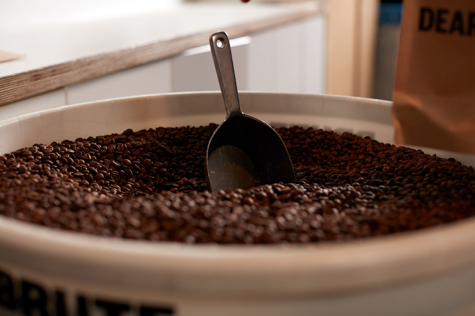 speciality coffee beans