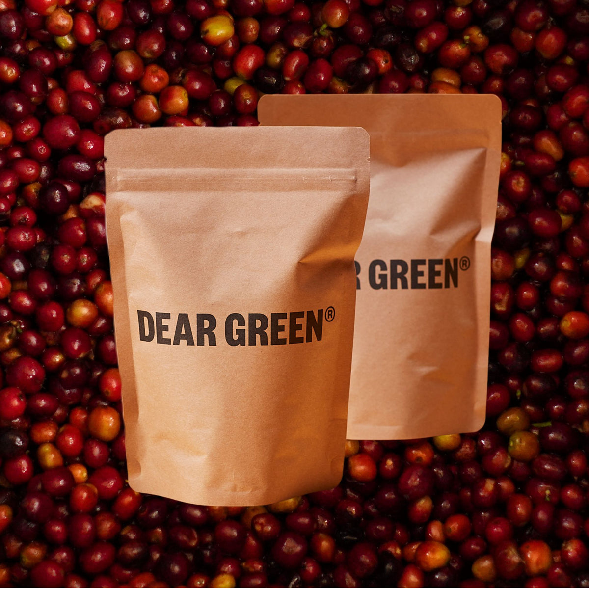 Ethiopia Coffee Bundle - Washed and Natural