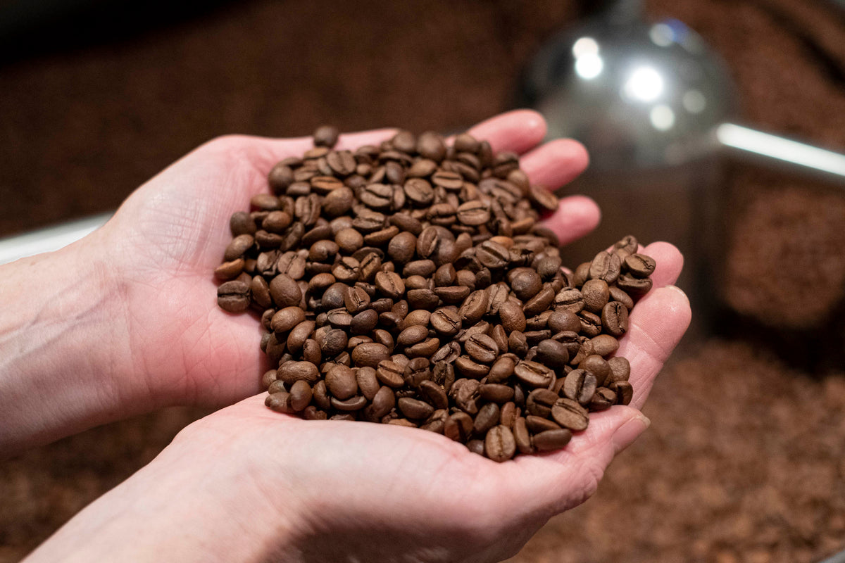 SCA - Introduction to Coffee
